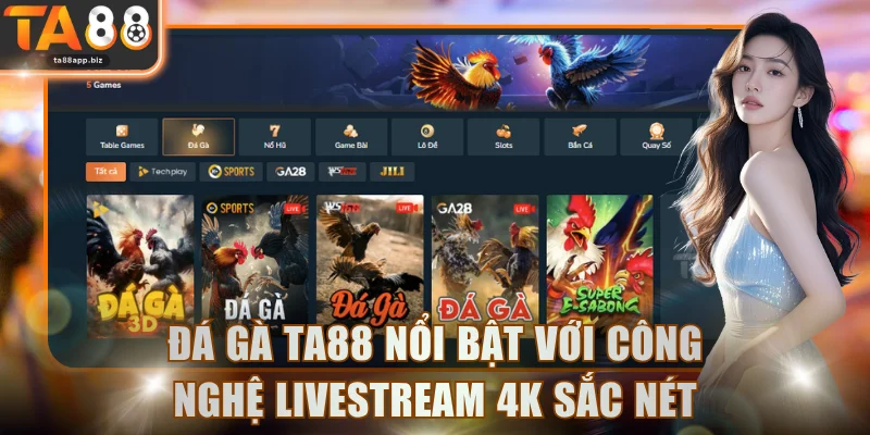 Đá gà TA88 nổi bật với công nghệ Livestream 4K sắc nét