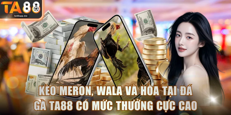 Kèo Meron, Wala và Hòa tại đá gà TA88 có mức thưởng cực cao